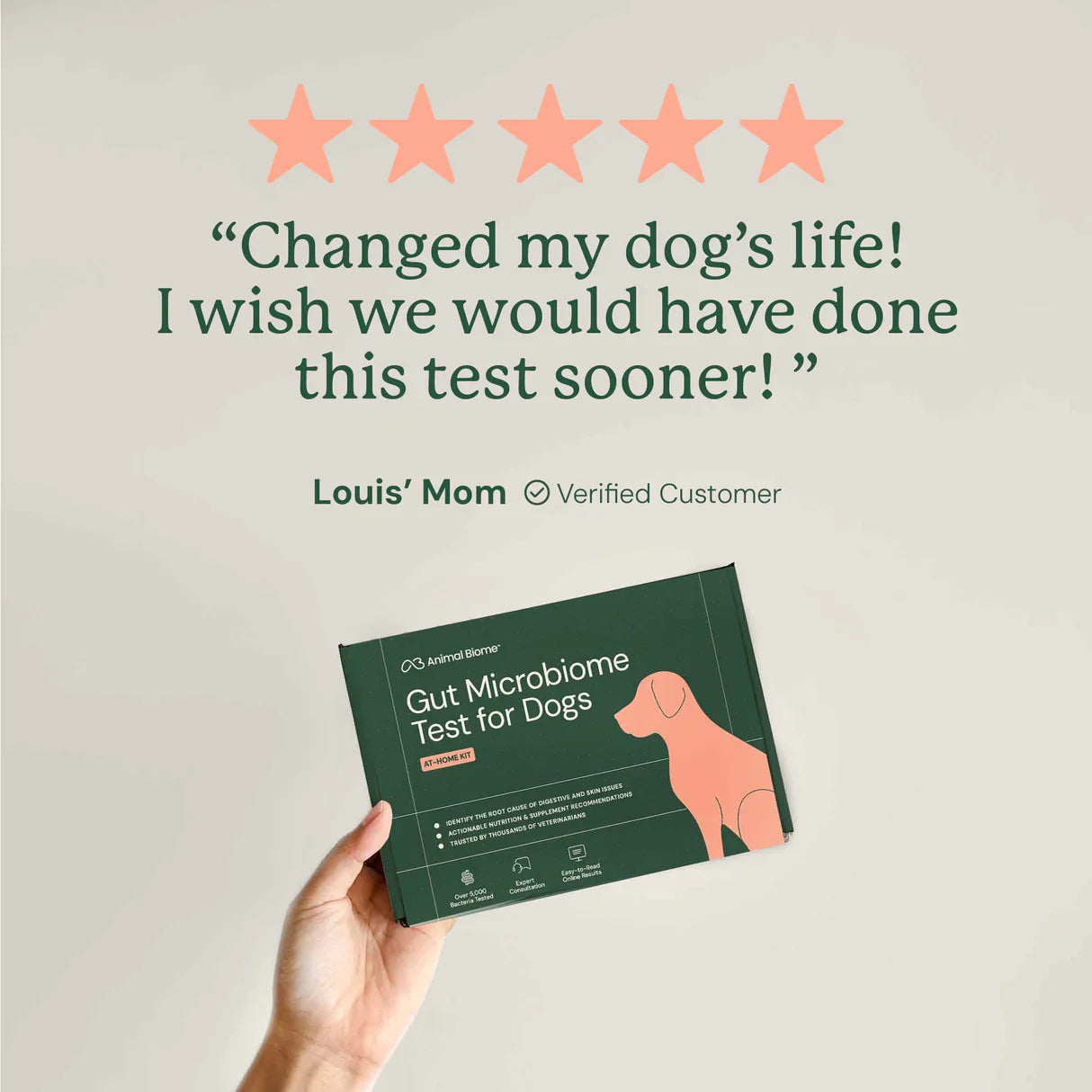 Gut Microbiome Test for Dogs