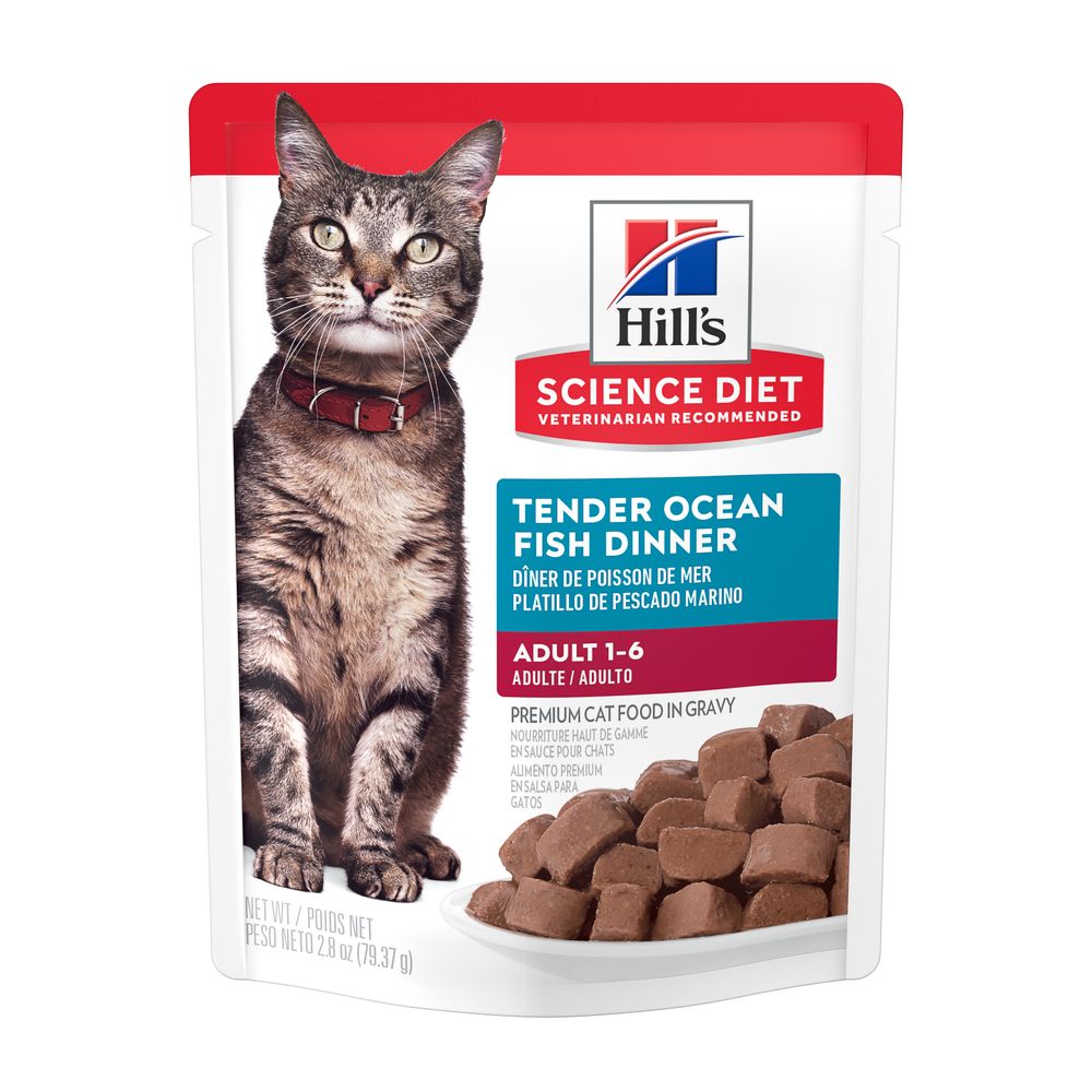 Adult Cat Food