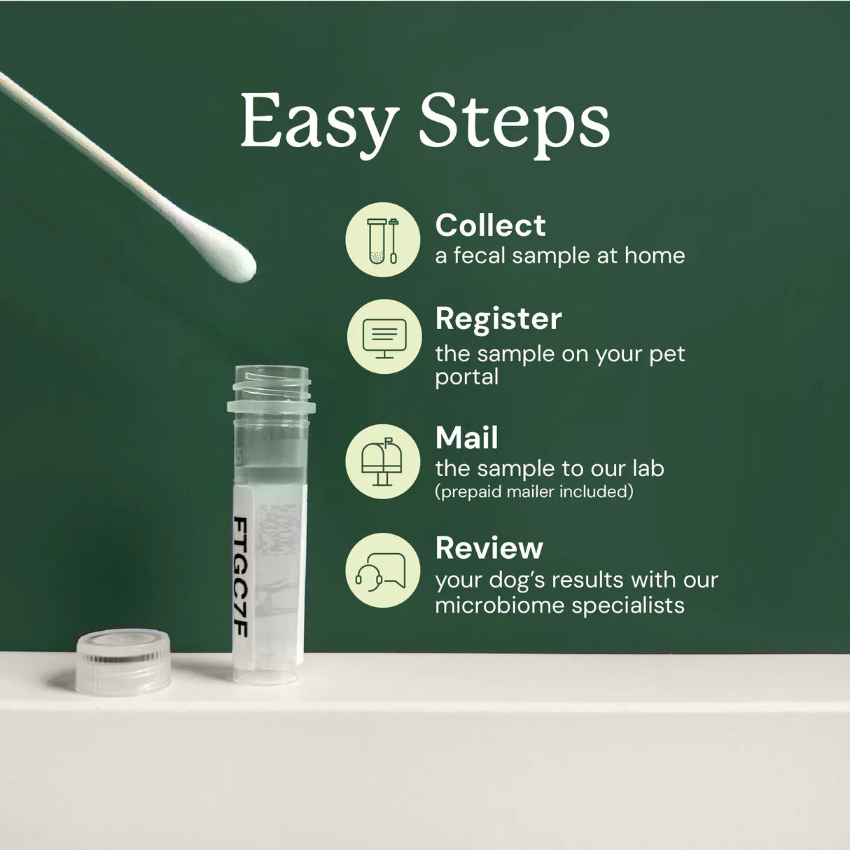 Gut Microbiome Test for Dogs