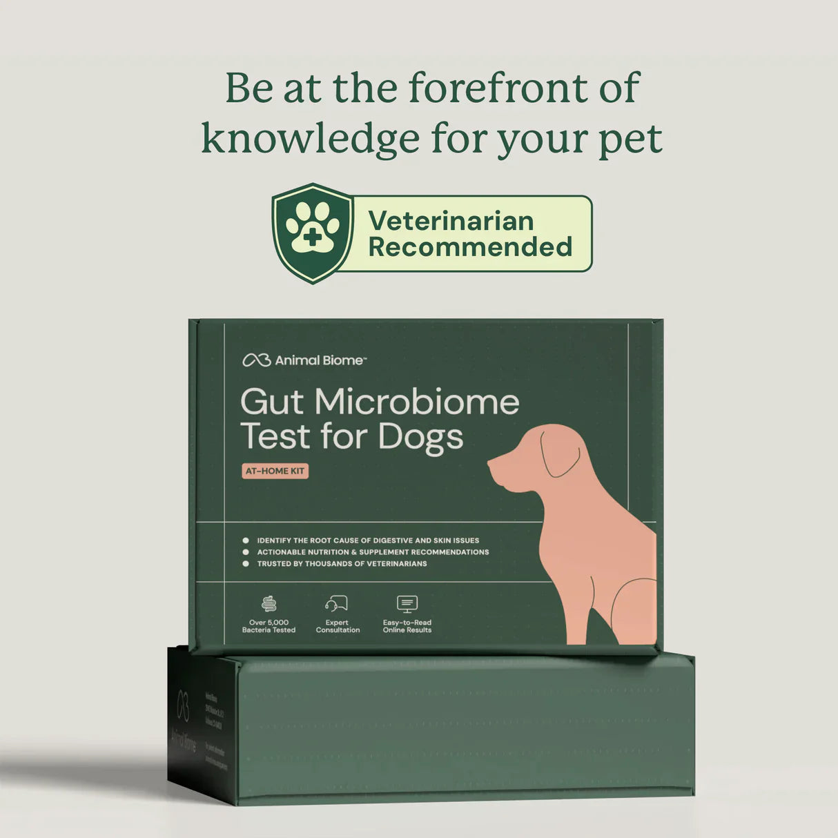 Gut Microbiome Test for Dogs