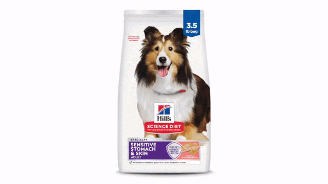 Adult Sensitive Stomach & Skin Dog Food